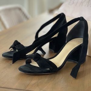 Alexandre Birman clarita block heels black suede